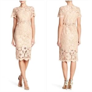 New NSR Beige Scalloped Lace Midi Dress
